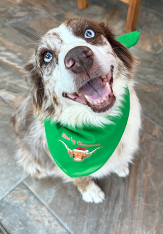 Moor'ry Christmas Bandanas